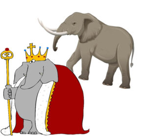 Material Elephant Gurbani