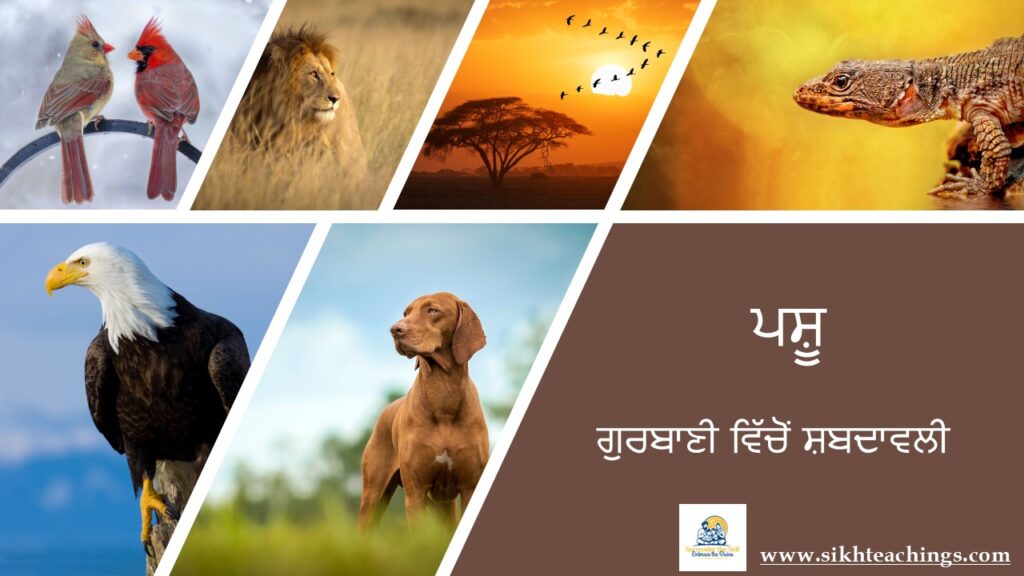 Animals Gurbani