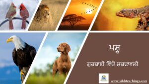 Animals Gurbani